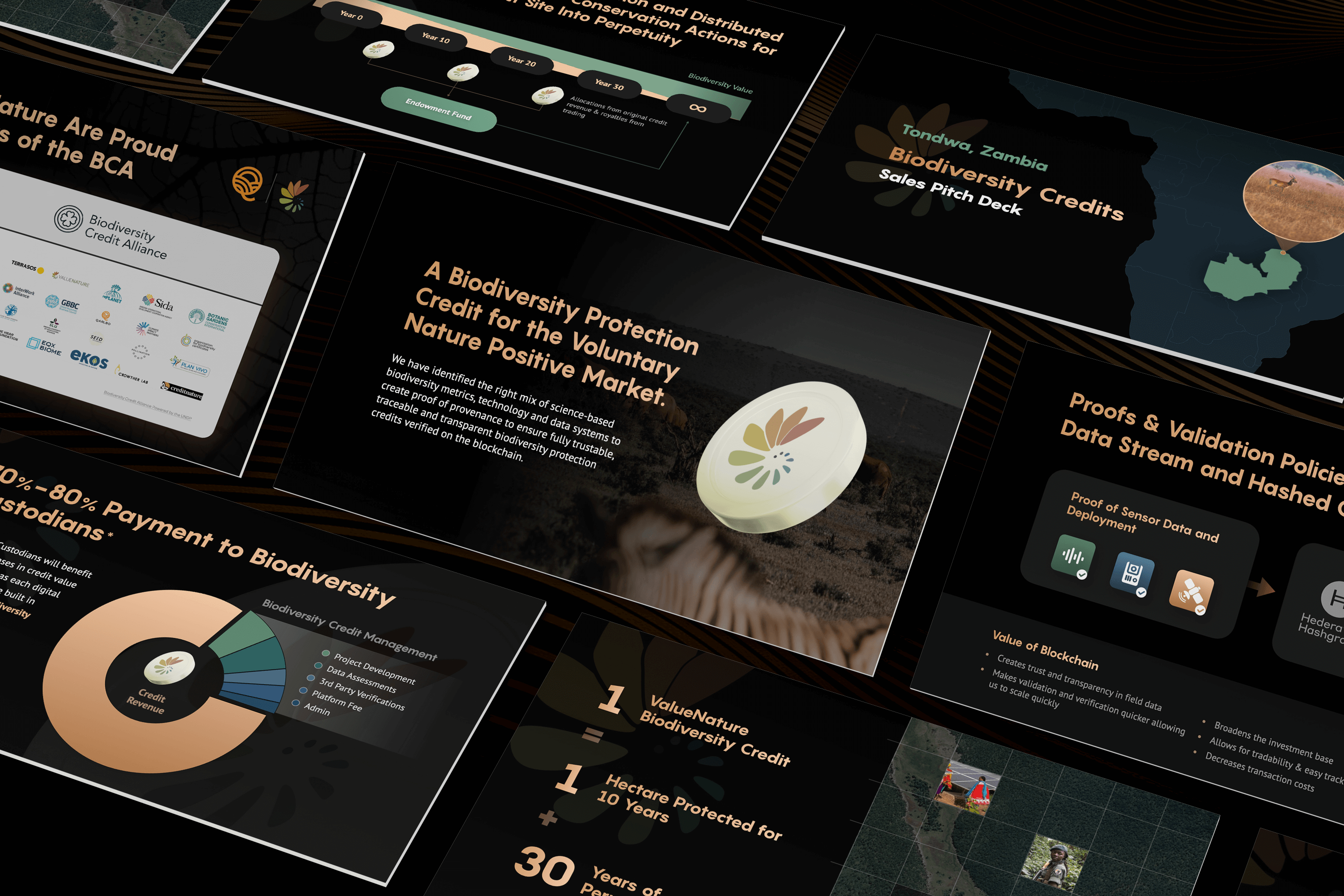 ValueNature presentation design